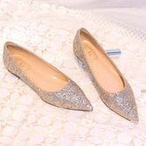New Fashion Women Flats Pointed toe Brand Ladies Bling Shoes Flat Elegant Pink Gold Silver Big Size 42 DX084